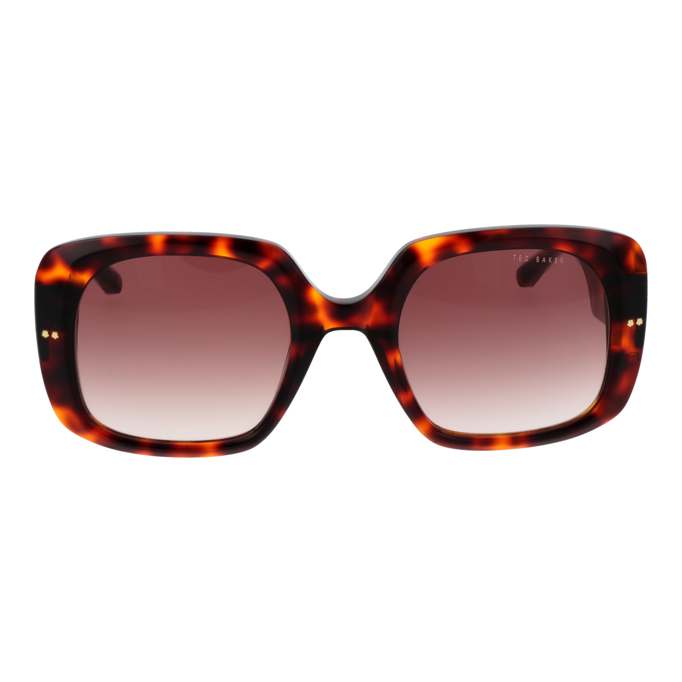 Ted Baker Sunglasses TB1730 100 53