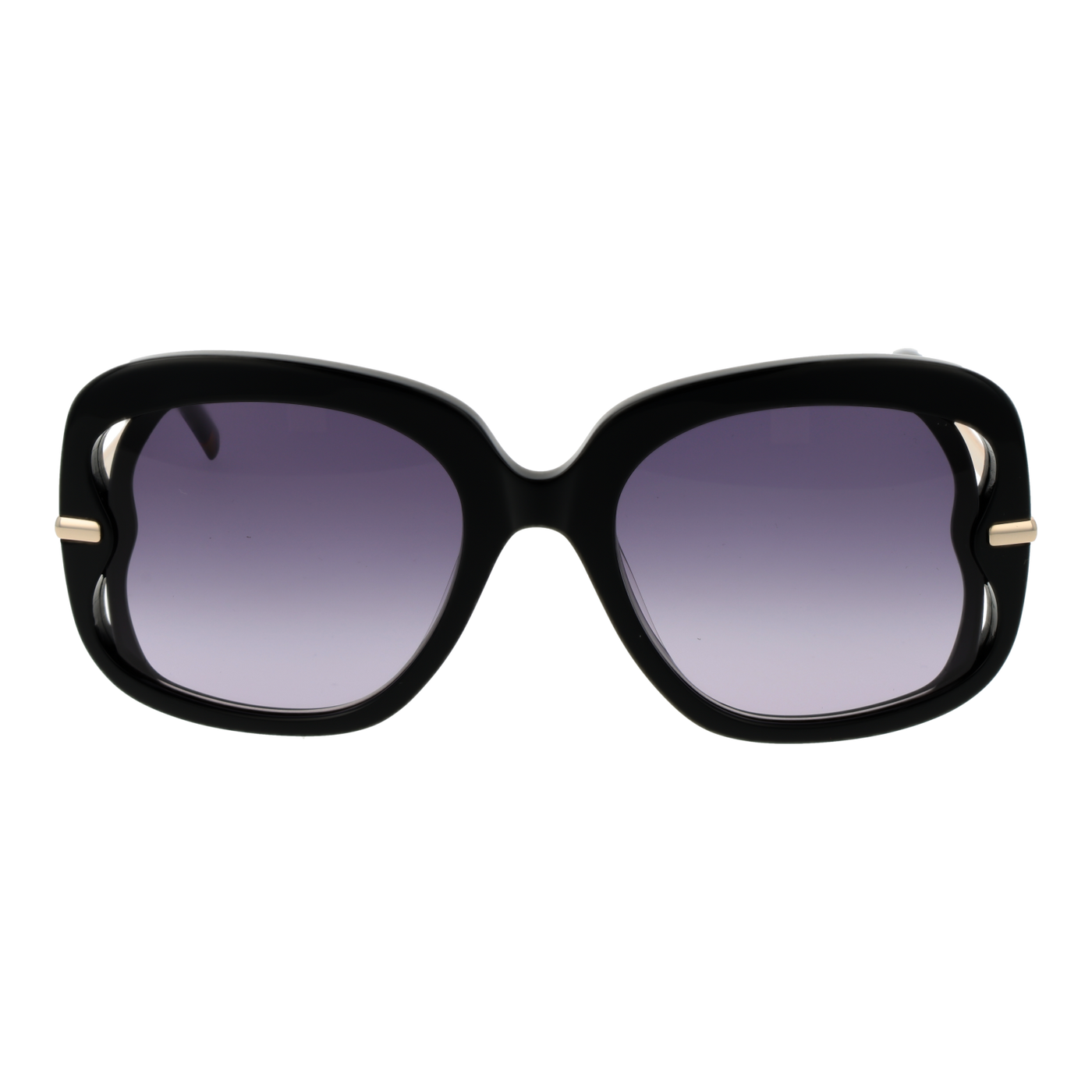 Sandro Sunglasses SD6048 001 53