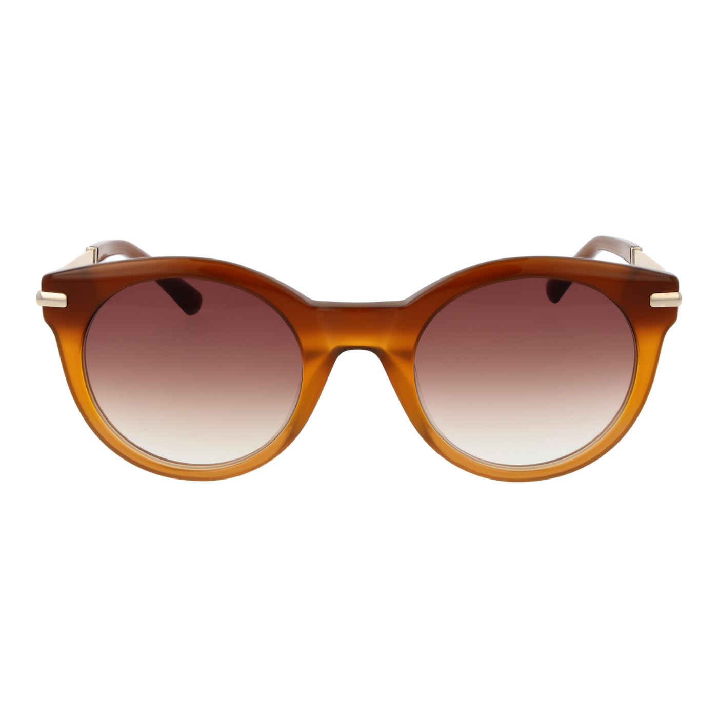 Sandro Sunglasses SD6049 104 51