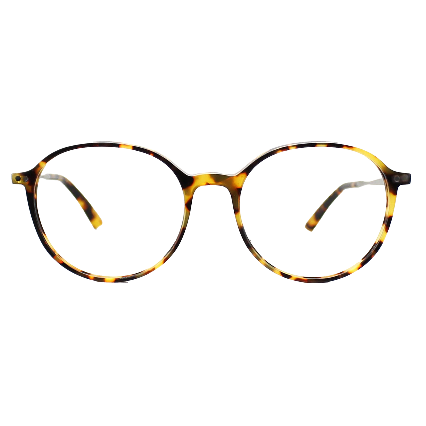 Taylor Morris Optical Frame SW1 C3 51