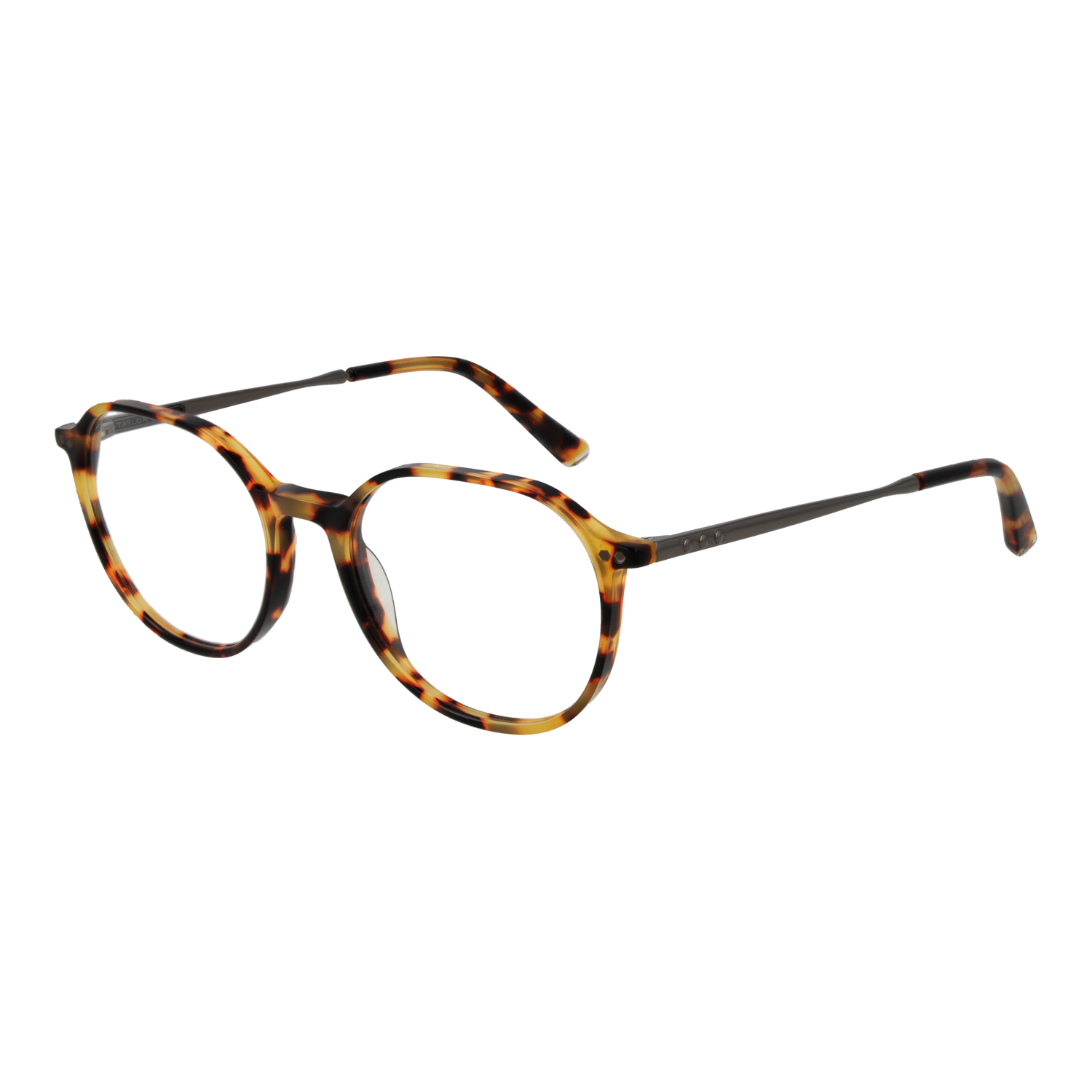 Taylor Morris Optical Frame SW2 C3 51