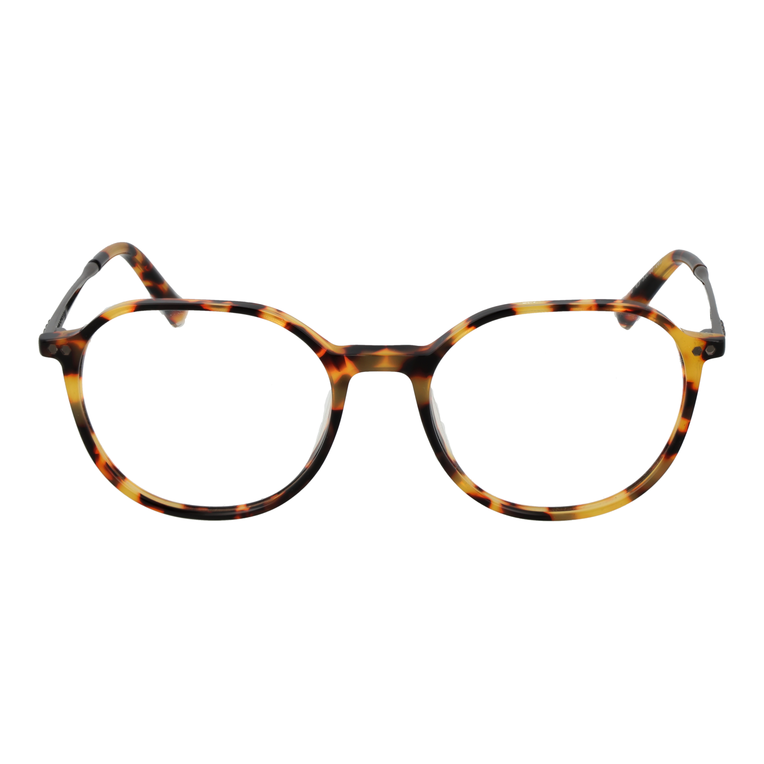 Taylor Morris Optical Frame SW2 C3 51