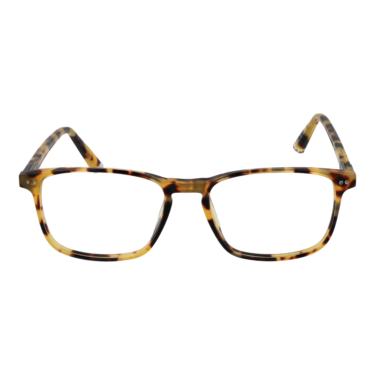 Taylor Morris Optical Frame SW16 C3 52