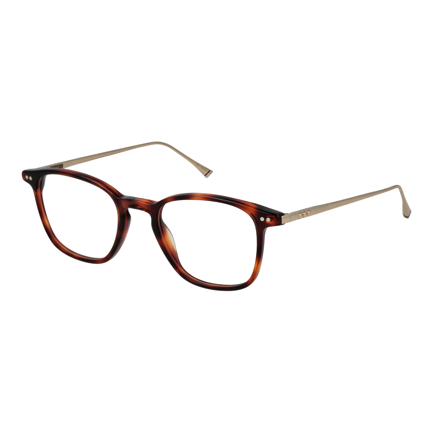 Taylor Morris Optical Frame W9 C2 48