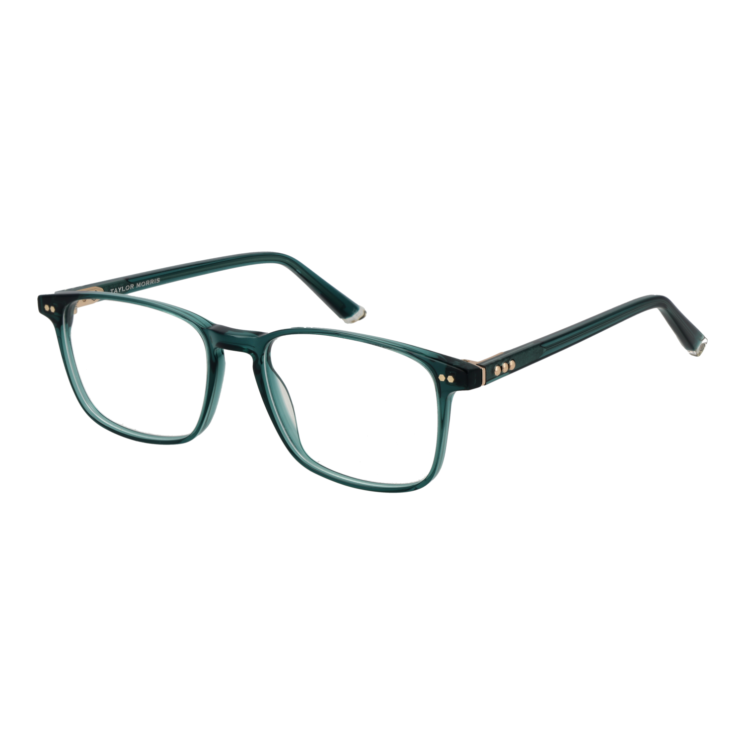Taylor Morris Optical Frame SW16 C8 52