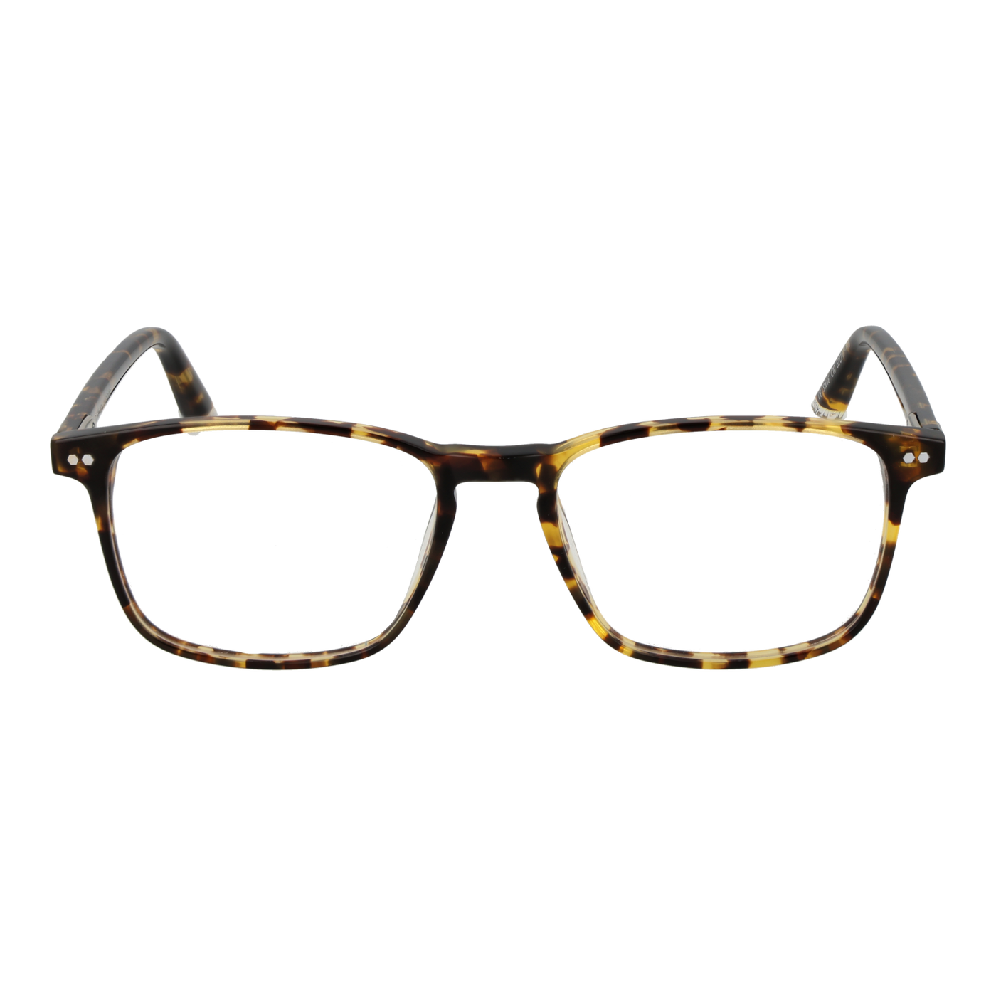 Taylor Morris Optical Frame SW16 C10 52