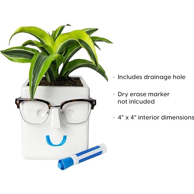 Face Planter