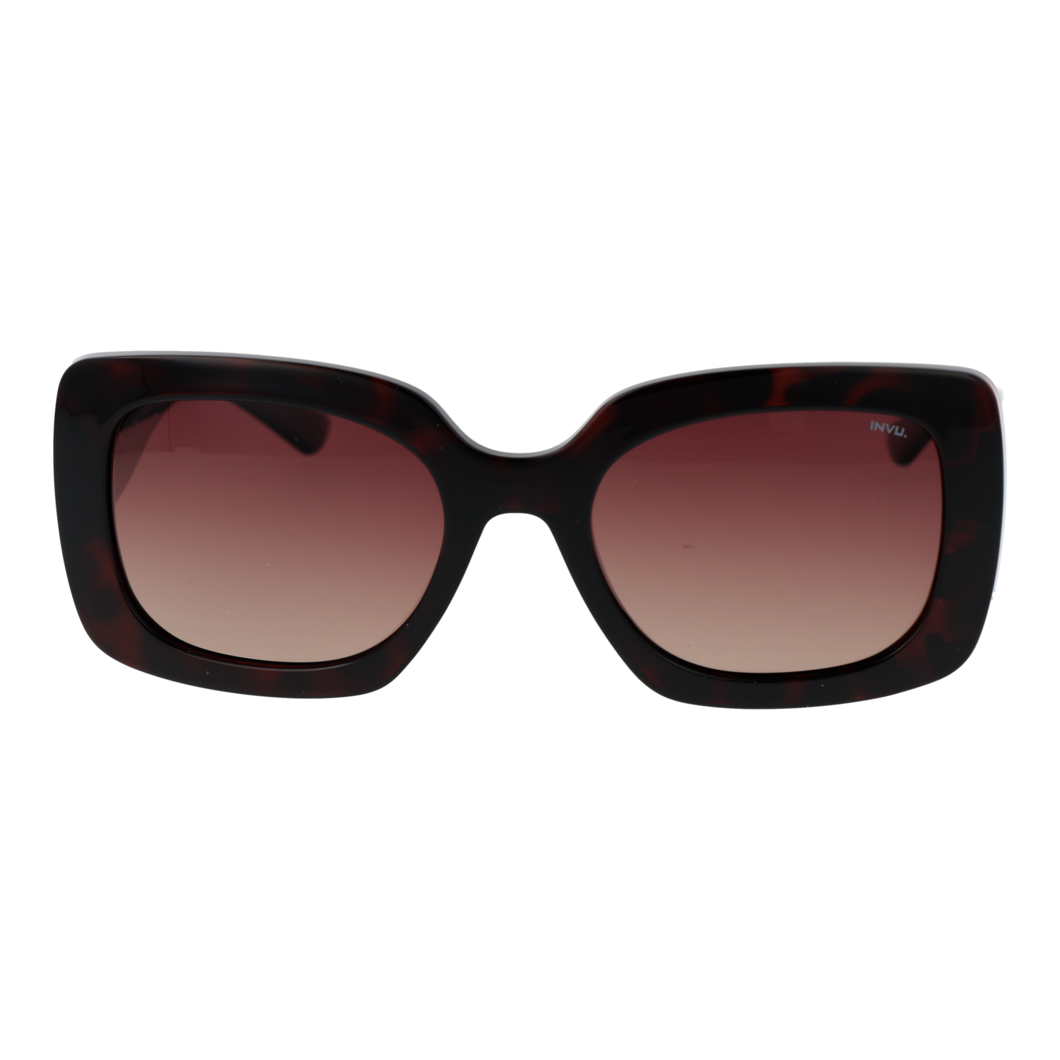 Invu Sunglasses B2233 B 53